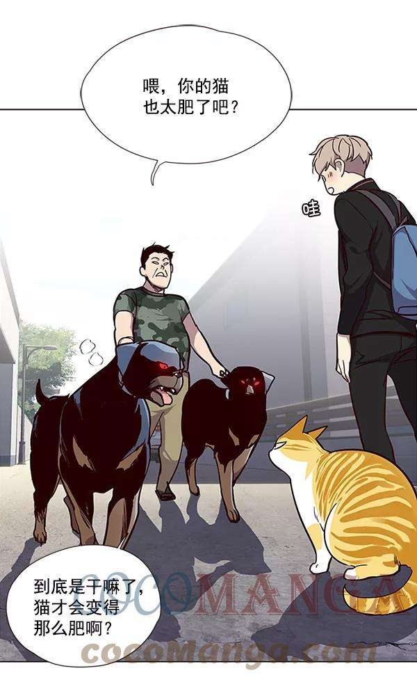 觉醒吧，铲屎官！36话