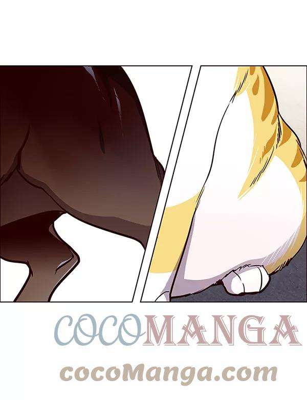 觉醒吧，铲屎官！36话