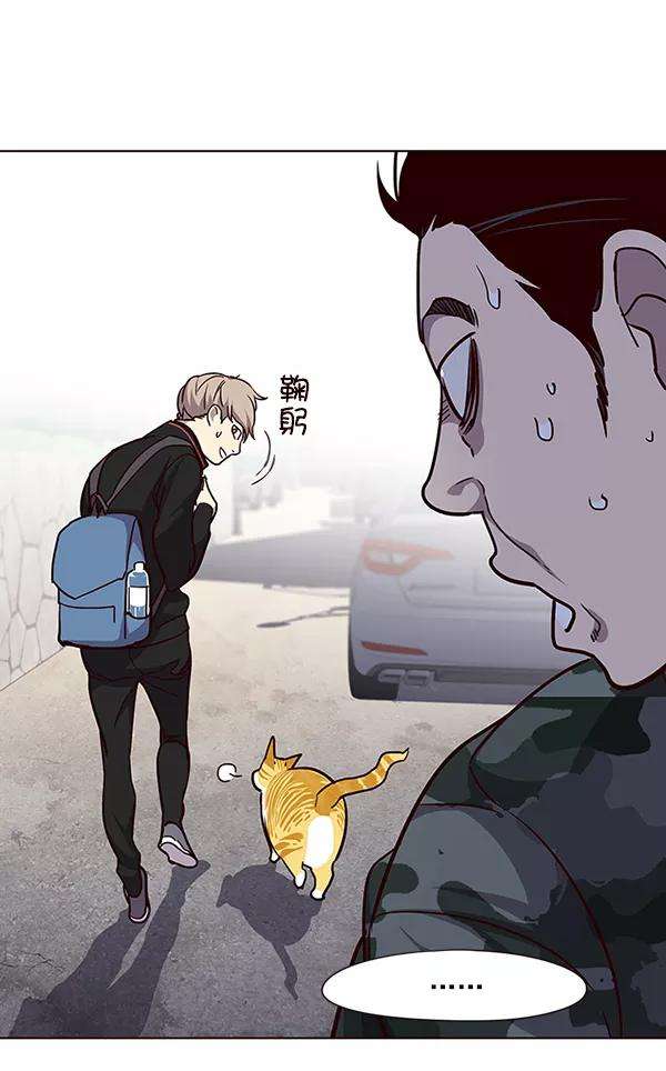 觉醒吧，铲屎官！36话