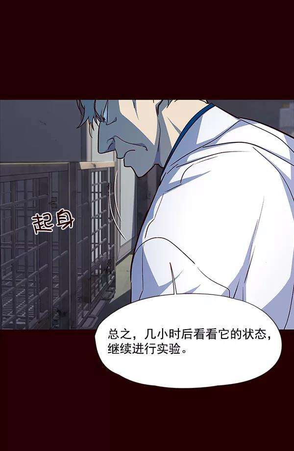 觉醒吧，铲屎官！36话