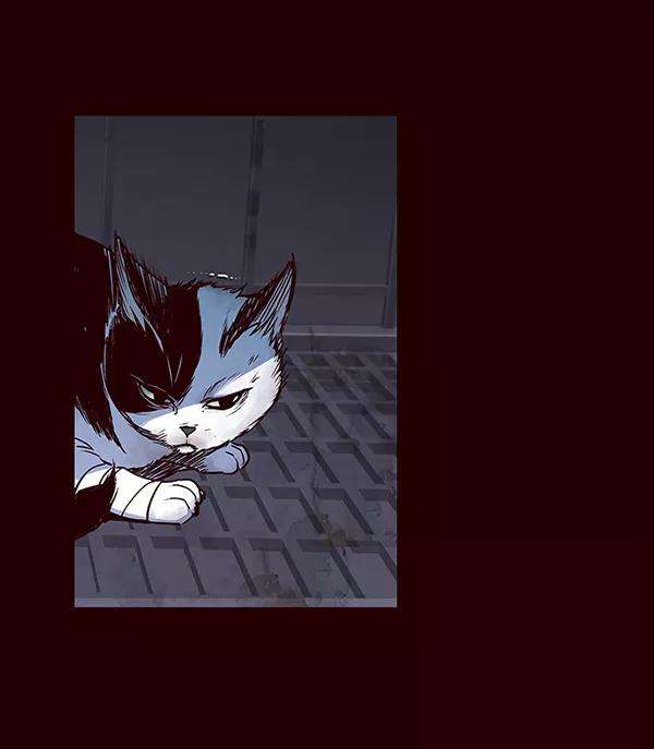 觉醒吧，铲屎官！36话