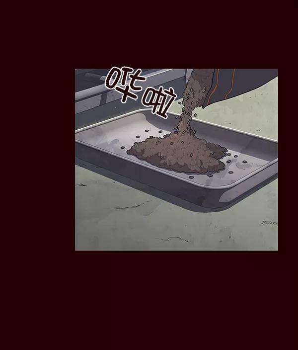 觉醒吧，铲屎官！36话