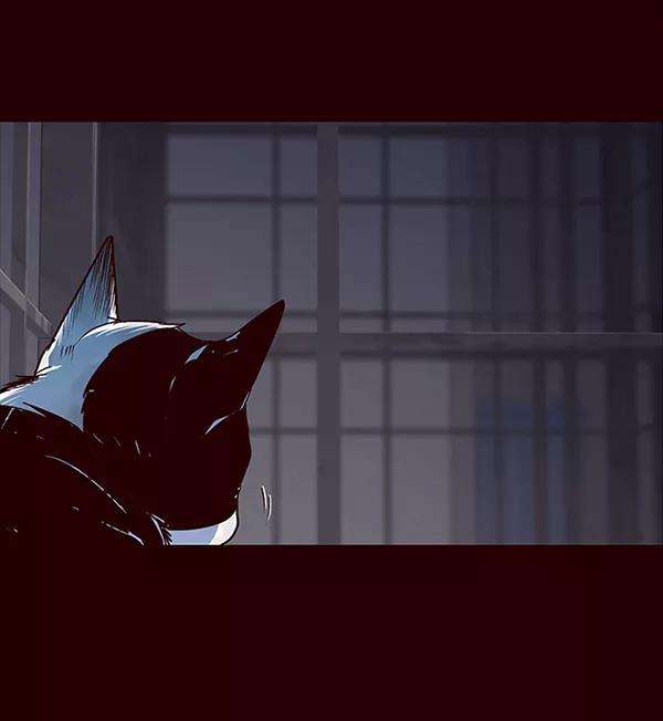 觉醒吧，铲屎官！36话