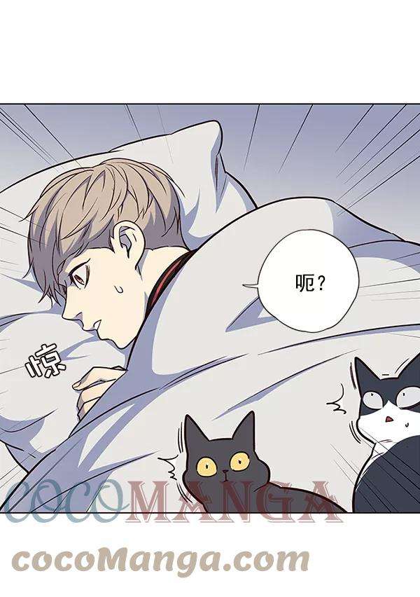 觉醒吧，铲屎官！36话