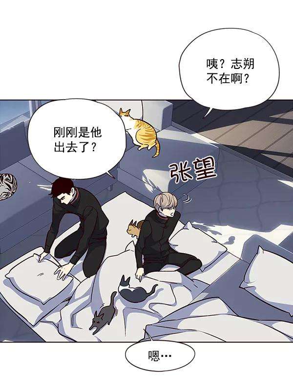 觉醒吧，铲屎官！36话