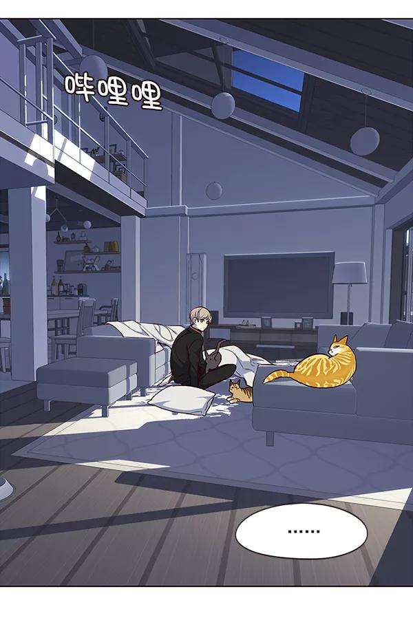 觉醒吧，铲屎官！36话