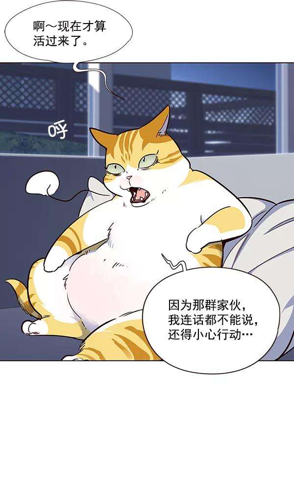 觉醒吧，铲屎官！36话