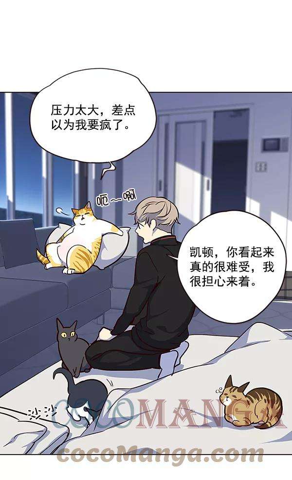 觉醒吧，铲屎官！36话