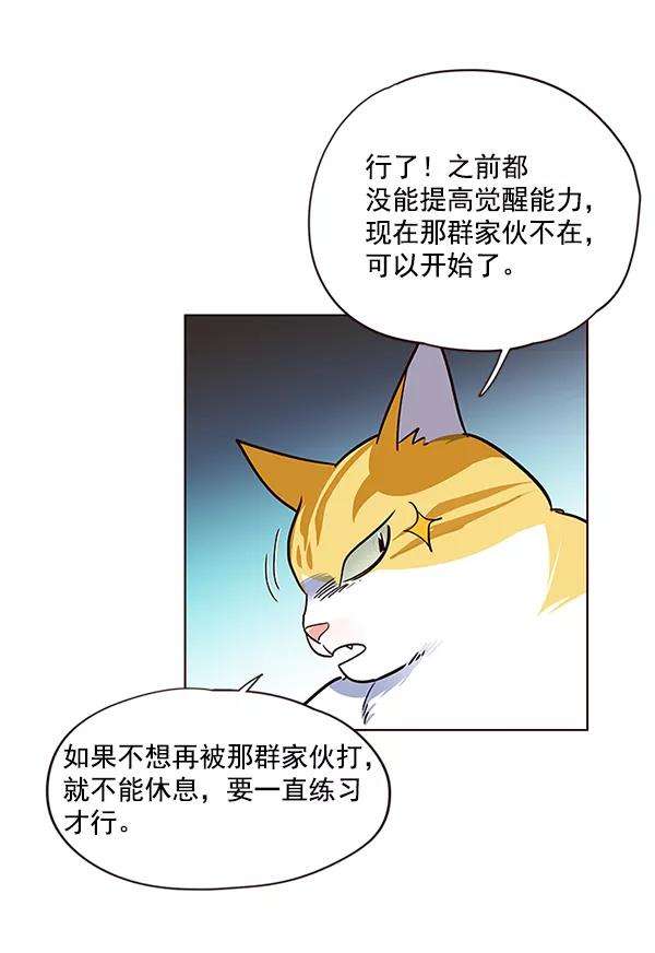 觉醒吧，铲屎官！36话