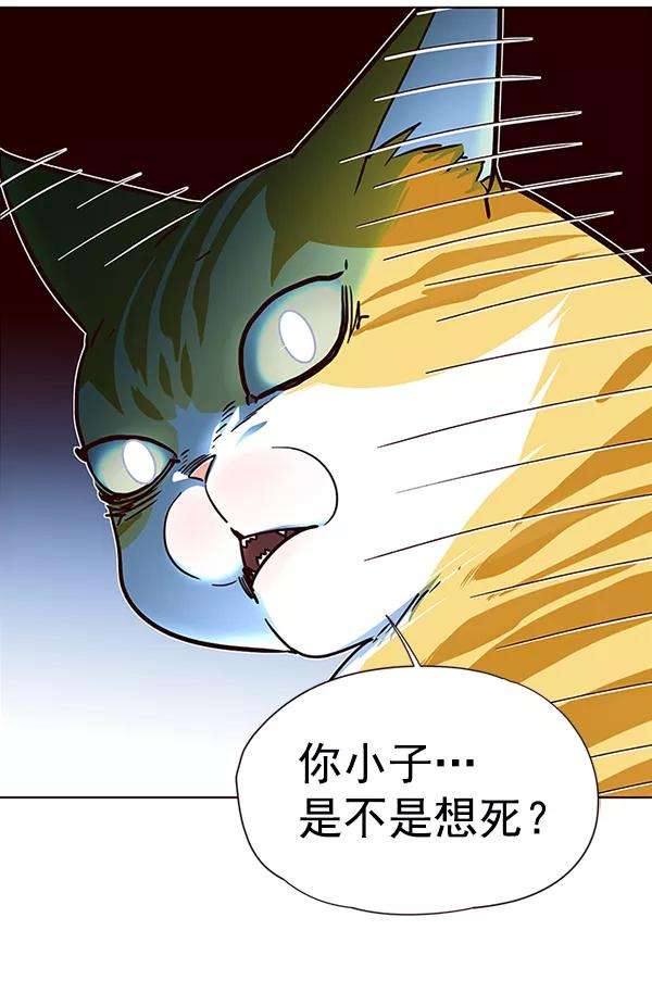 觉醒吧，铲屎官！36话