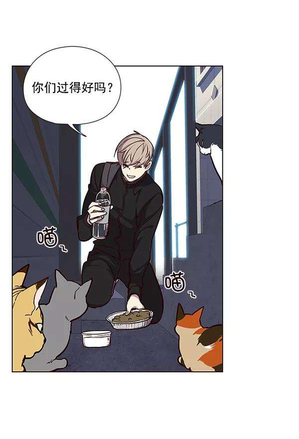 觉醒吧，铲屎官！36话