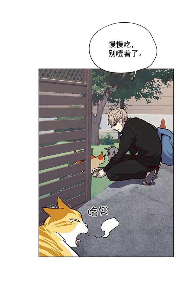 觉醒吧，铲屎官！36话