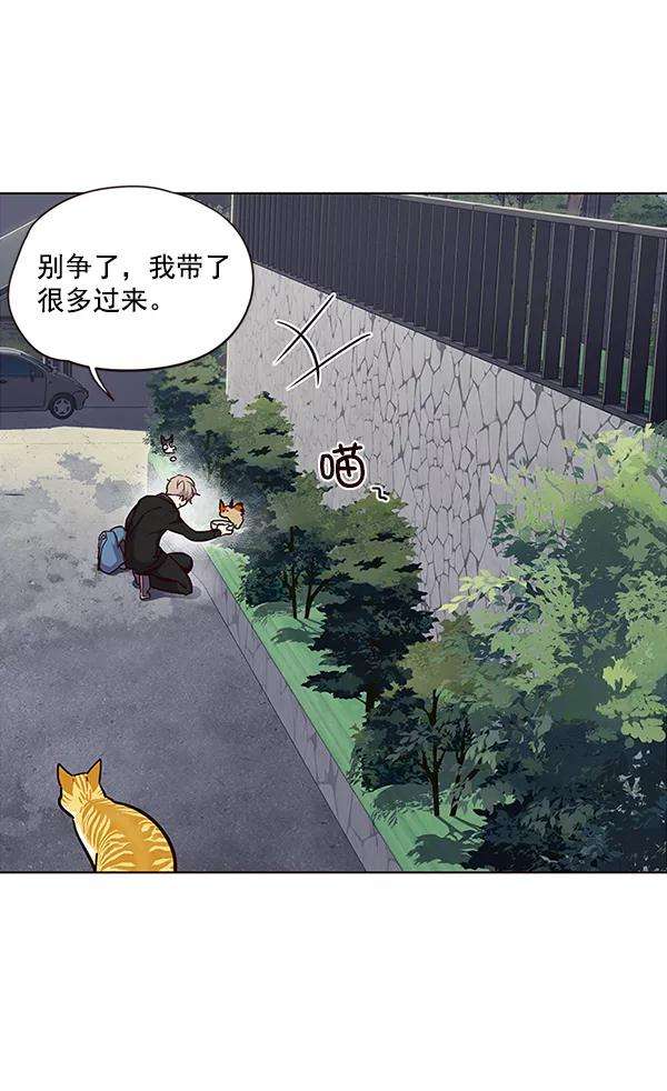 觉醒吧，铲屎官！36话