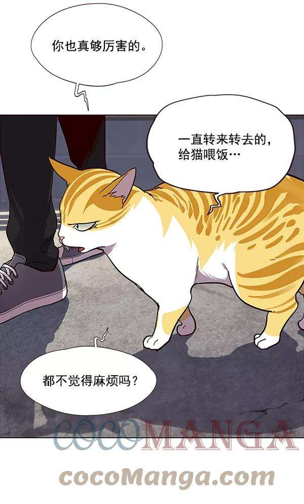 觉醒吧，铲屎官！36话