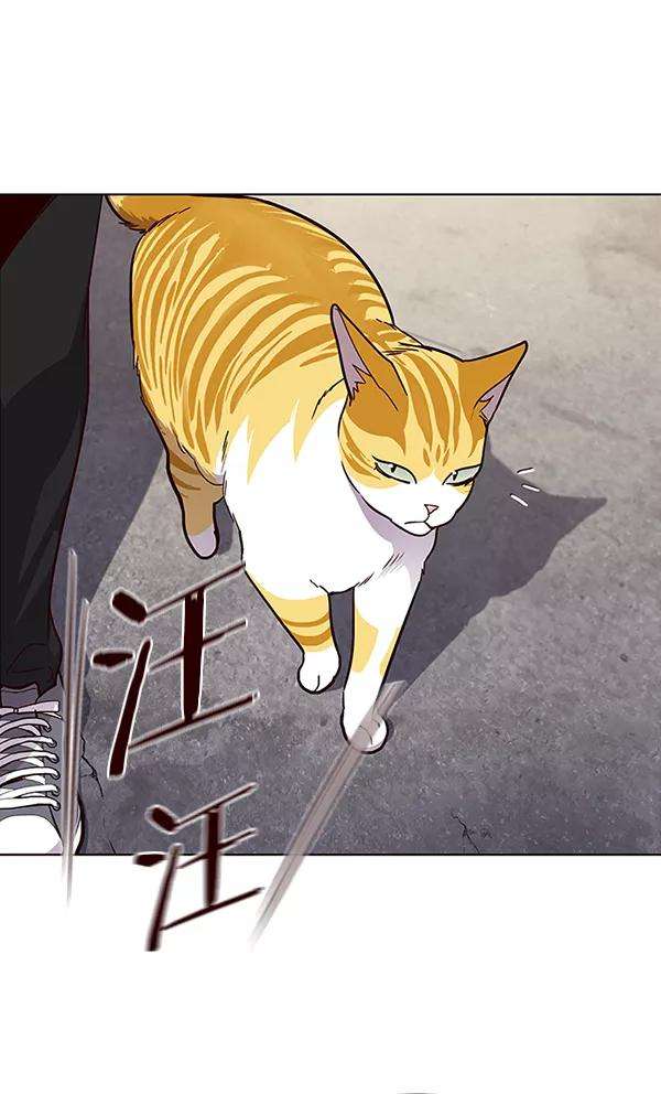 觉醒吧，铲屎官！36话