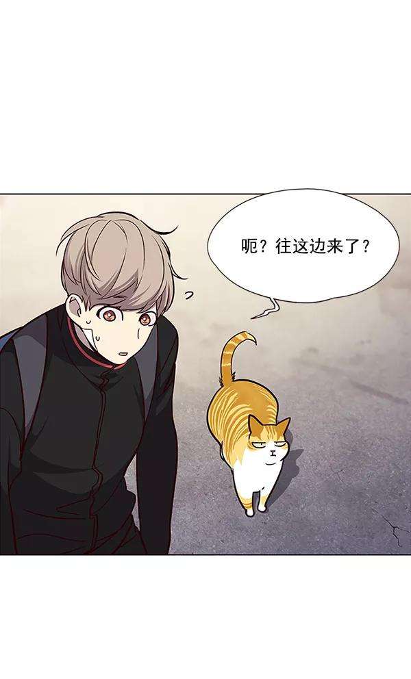 觉醒吧，铲屎官！36话