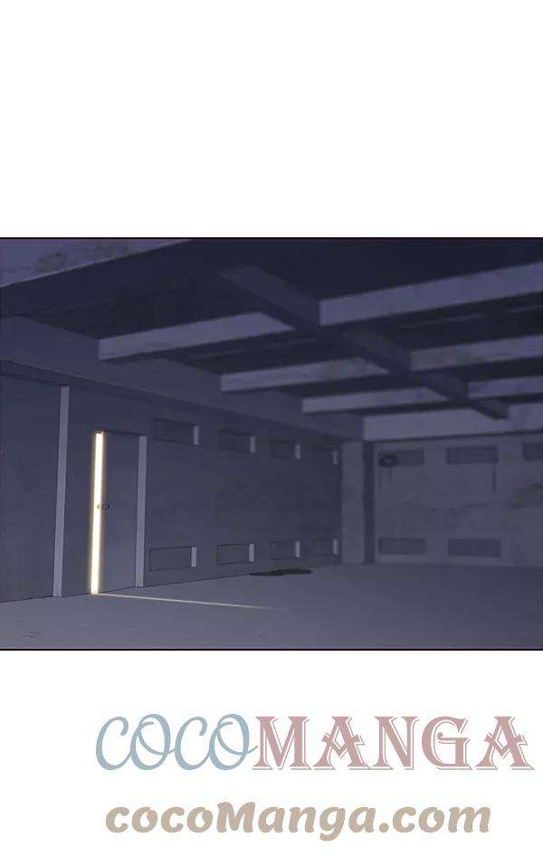 觉醒吧，铲屎官！37话