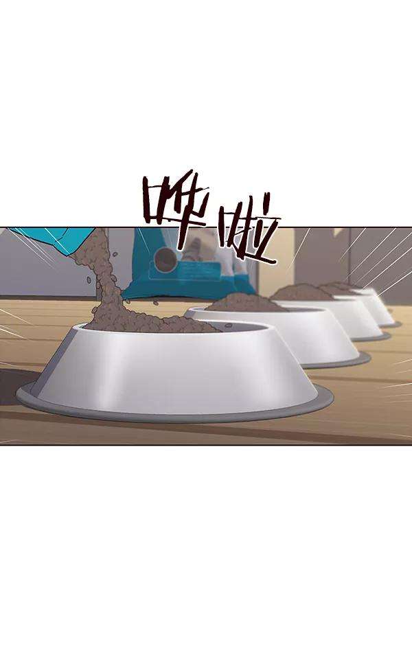 觉醒吧，铲屎官！37话
