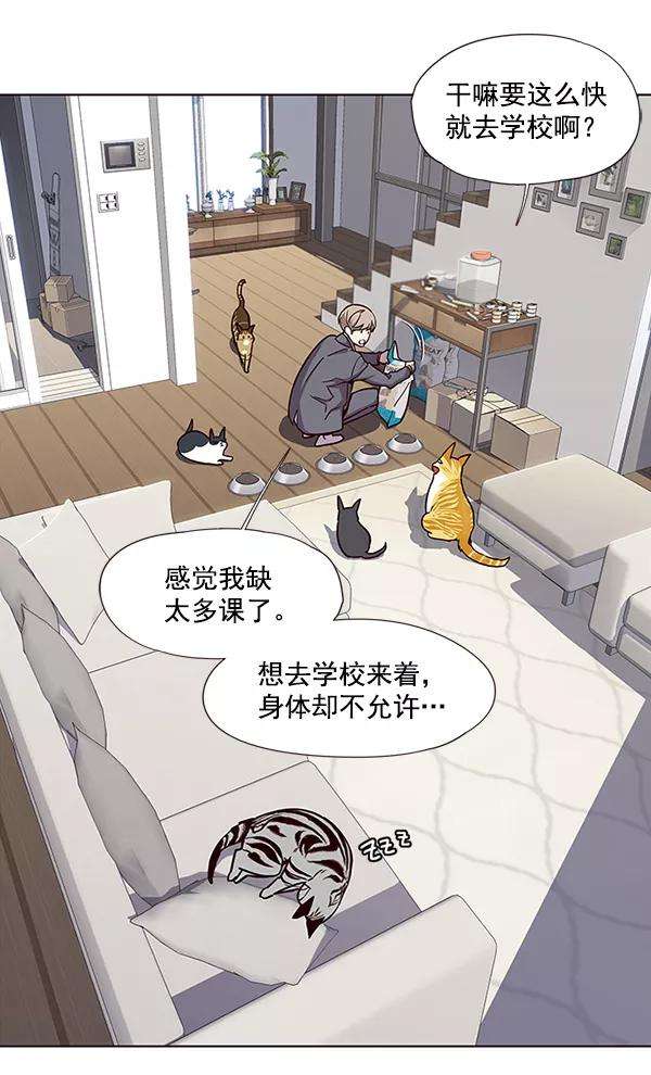 觉醒吧，铲屎官！37话
