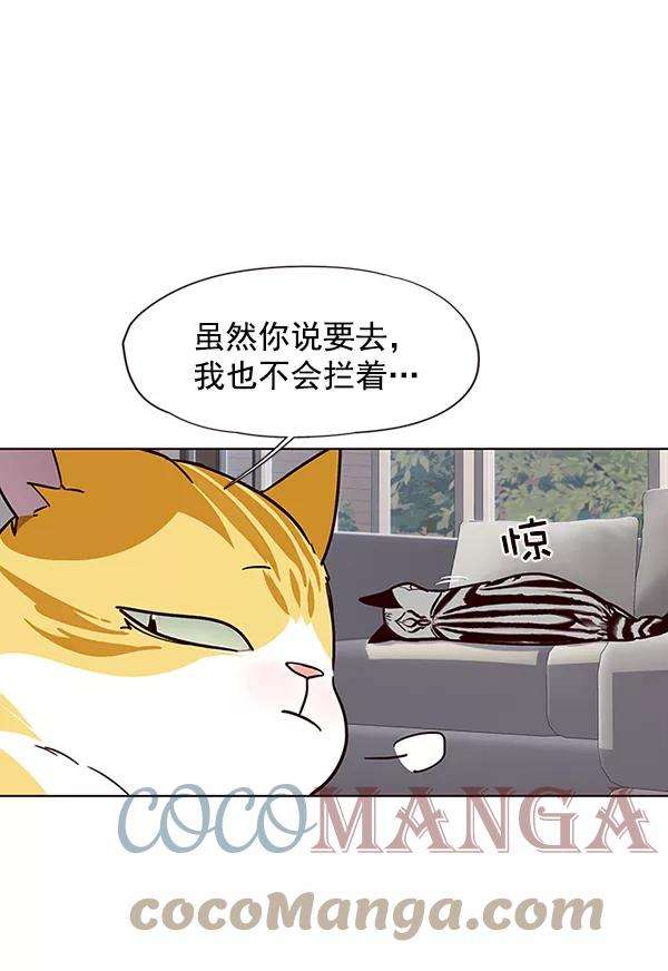 觉醒吧，铲屎官！37话