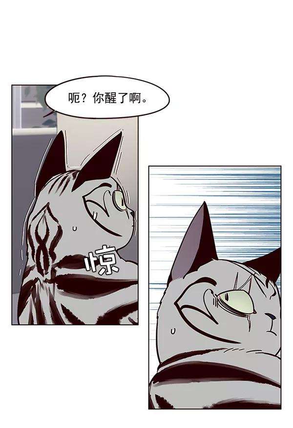 觉醒吧，铲屎官！37话