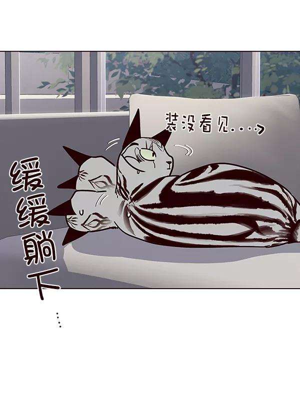 觉醒吧，铲屎官！37话