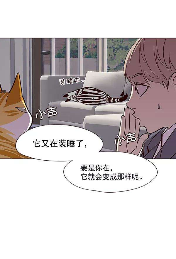 觉醒吧，铲屎官！37话