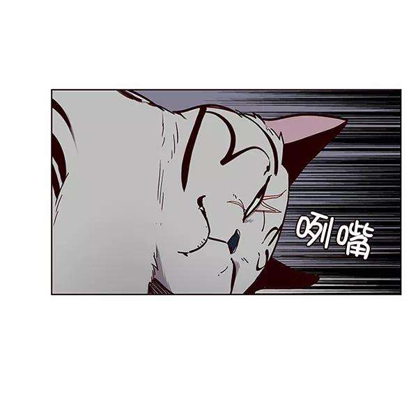 觉醒吧，铲屎官！37话