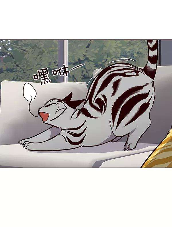 觉醒吧，铲屎官！37话