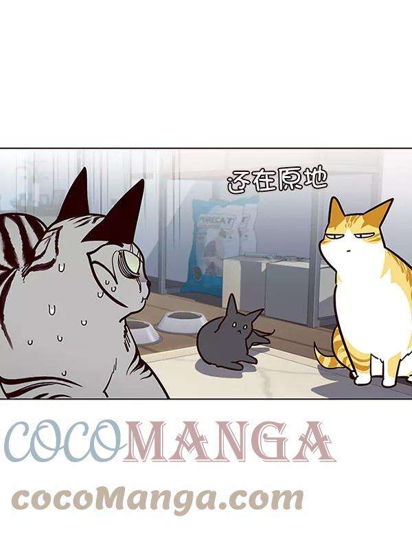 觉醒吧，铲屎官！37话