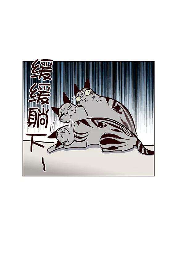 觉醒吧，铲屎官！37话