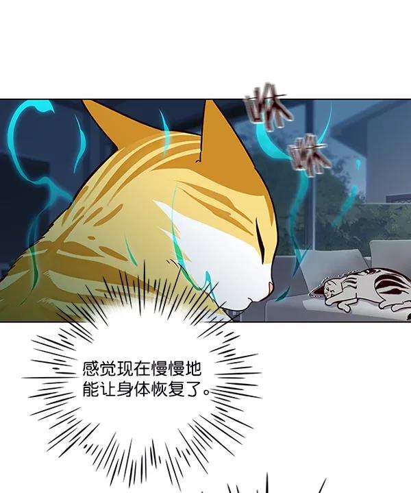 觉醒吧，铲屎官！37话