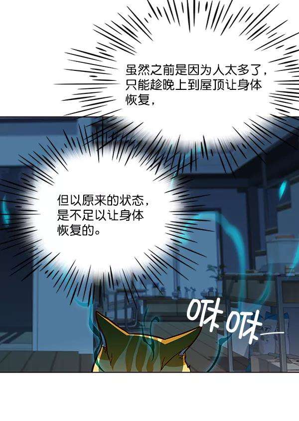 觉醒吧，铲屎官！37话