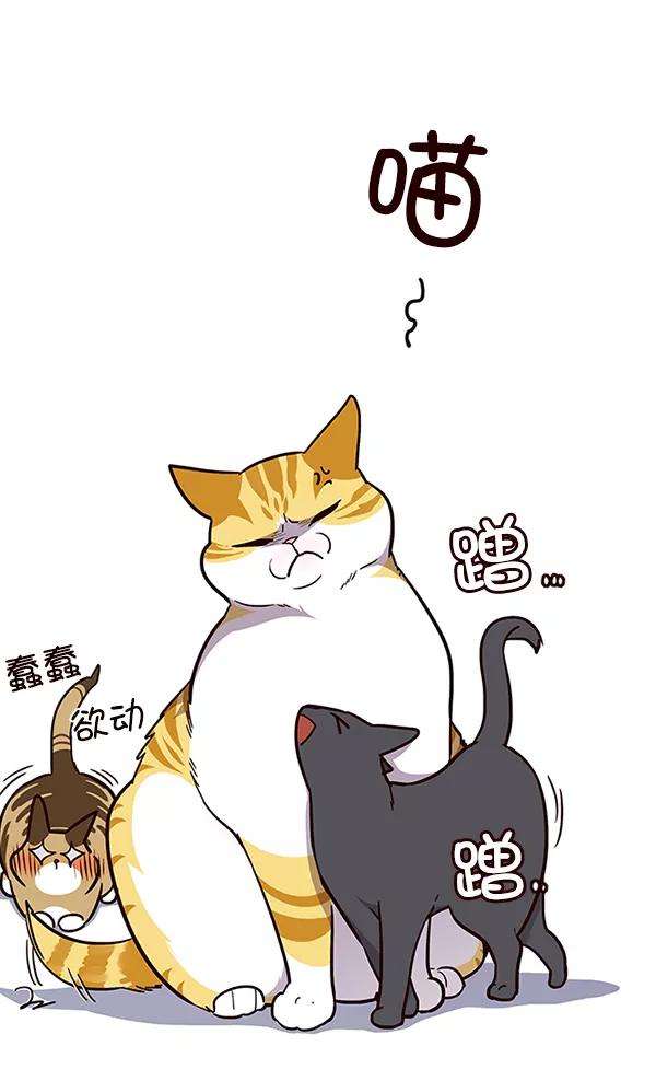 觉醒吧，铲屎官！37话