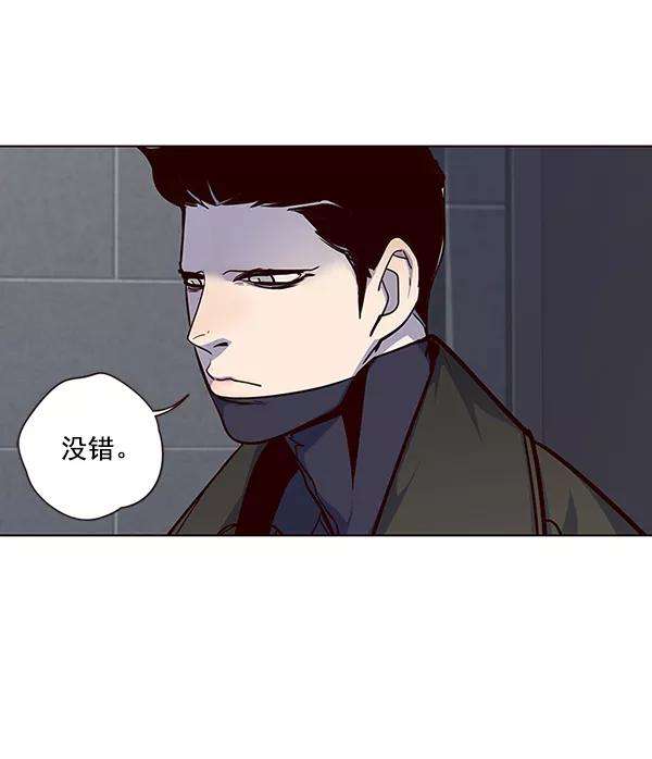 觉醒吧，铲屎官！37话