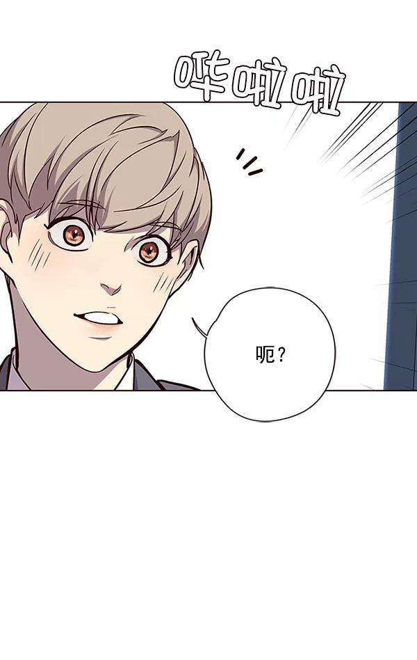 觉醒吧，铲屎官！37话