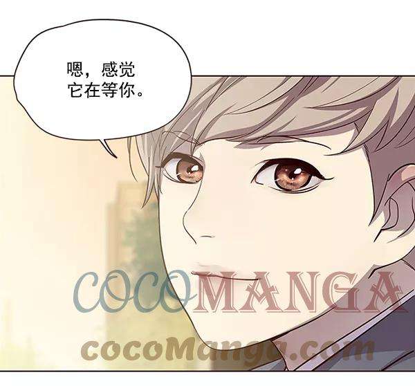 觉醒吧，铲屎官！38话