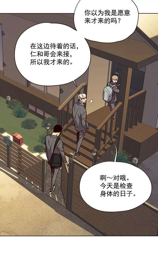觉醒吧，铲屎官！38话