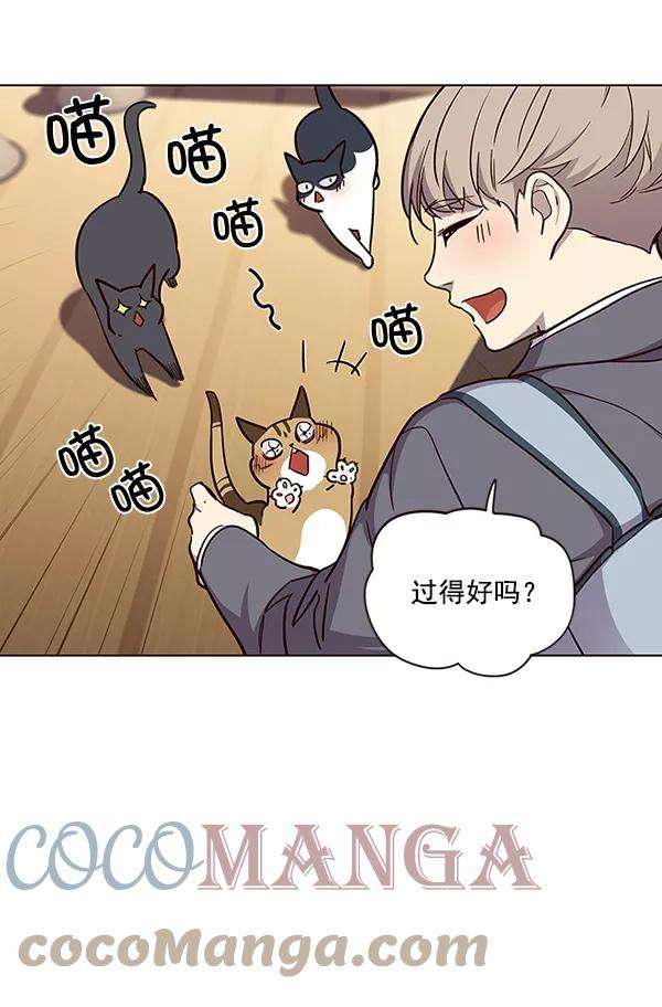 觉醒吧，铲屎官！38话