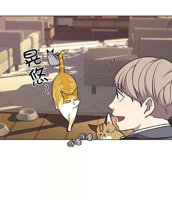 觉醒吧，铲屎官！38话