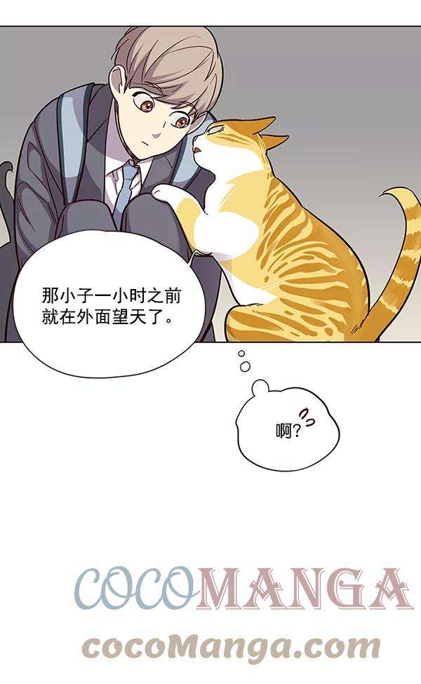 觉醒吧，铲屎官！38话