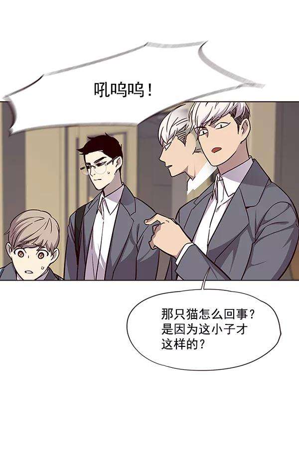 觉醒吧，铲屎官！38话