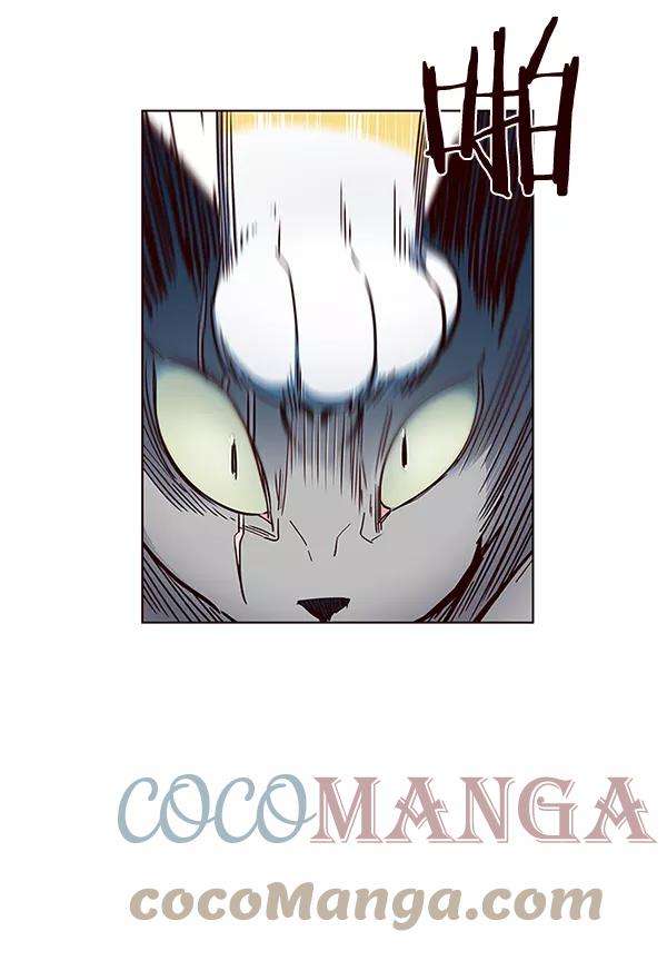 觉醒吧，铲屎官！38话