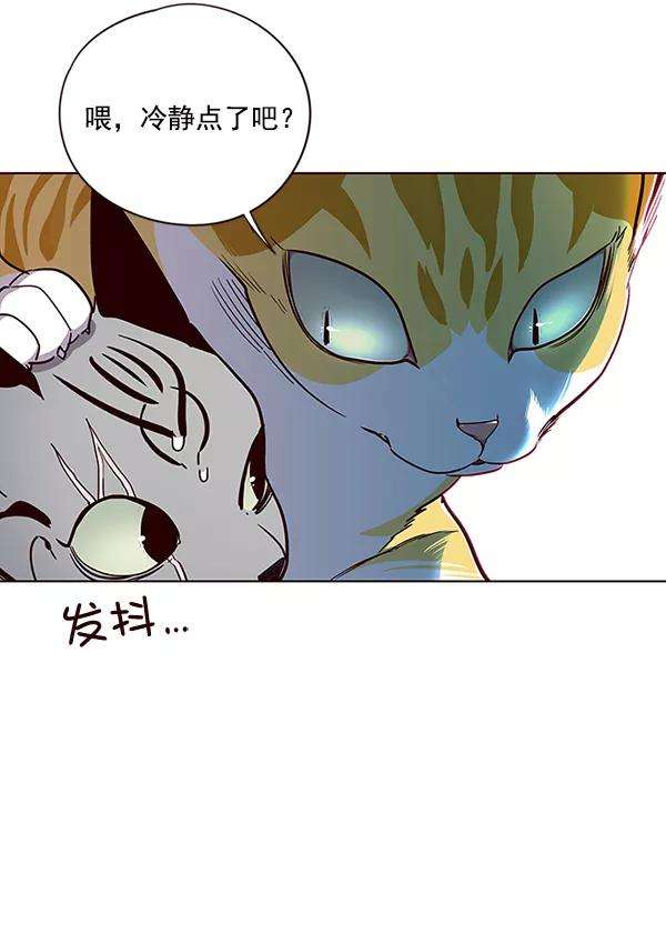 觉醒吧，铲屎官！38话