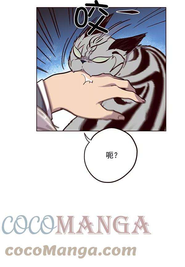 觉醒吧，铲屎官！38话