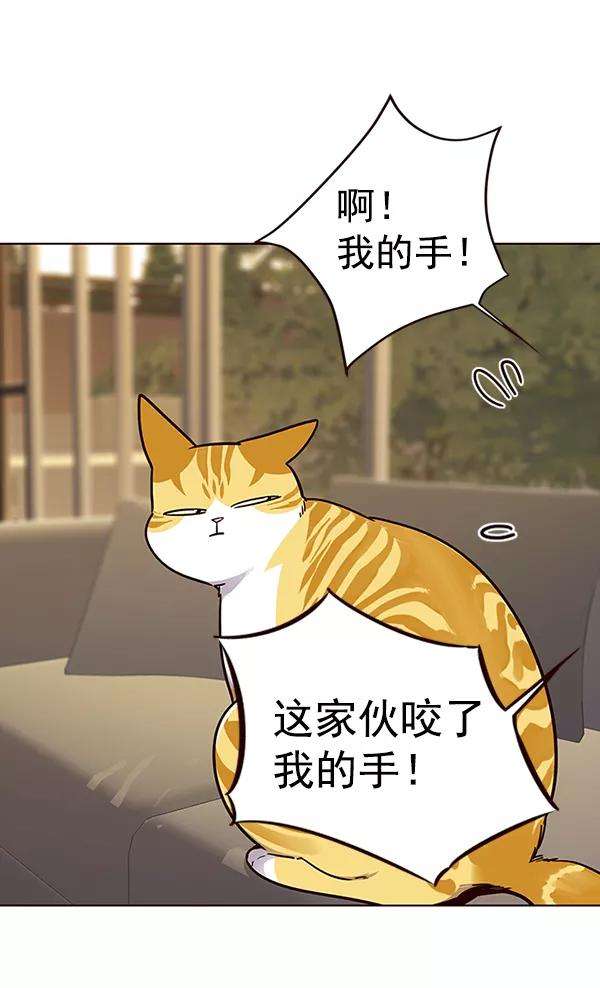 觉醒吧，铲屎官！38话
