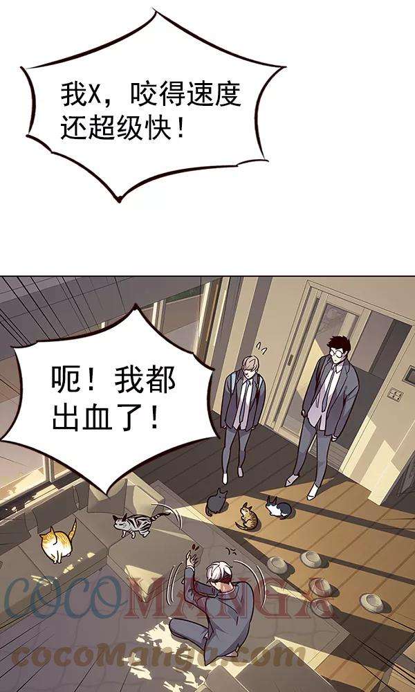 觉醒吧，铲屎官！38话