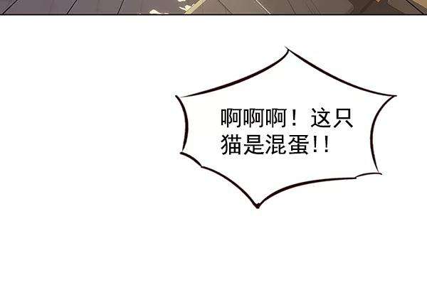 觉醒吧，铲屎官！38话