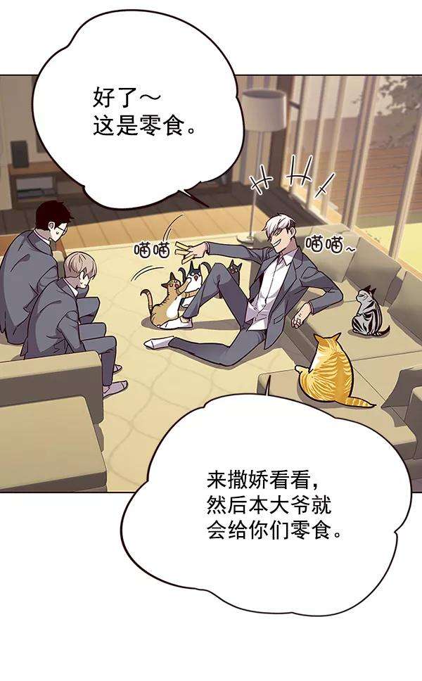 觉醒吧，铲屎官！38话
