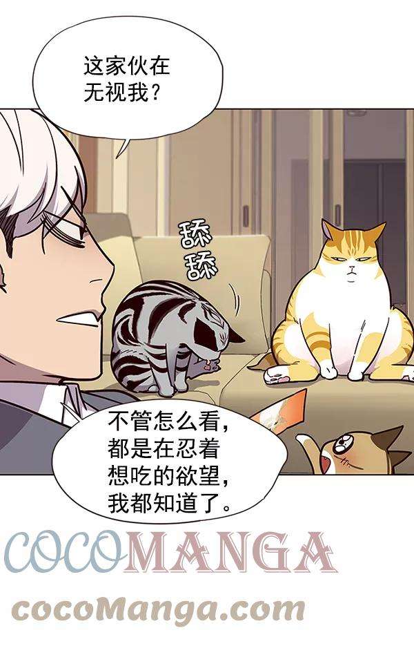 觉醒吧，铲屎官！38话